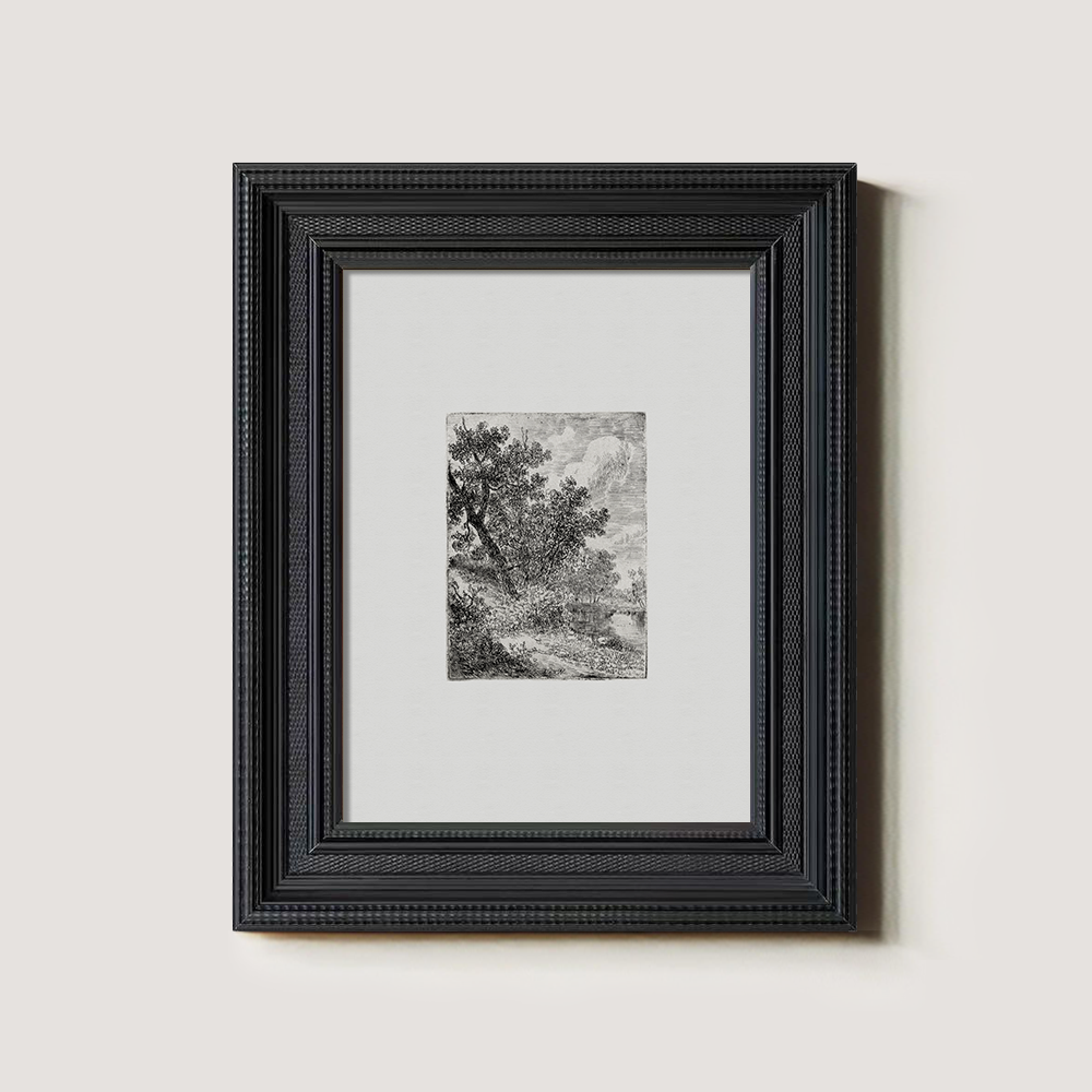 Shaded Arboreal Hollow Etching Reverie