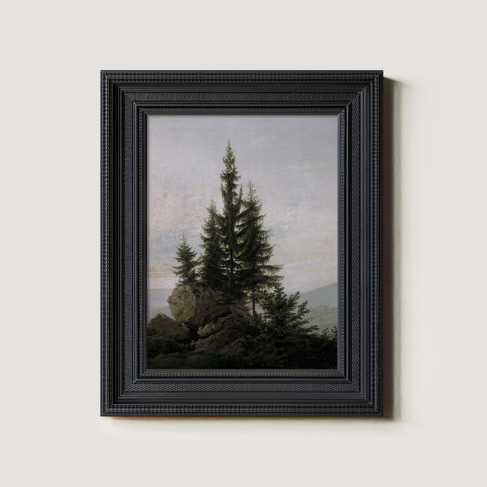 Evergreen Tree On A Rocky Shore 1216-1620-1824