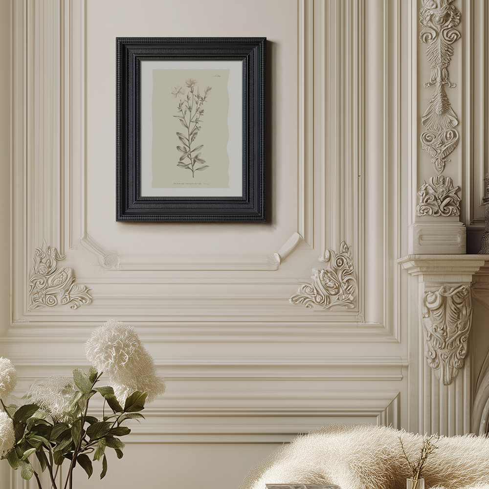 Vintage Epilobium Montanum Botanical Etching