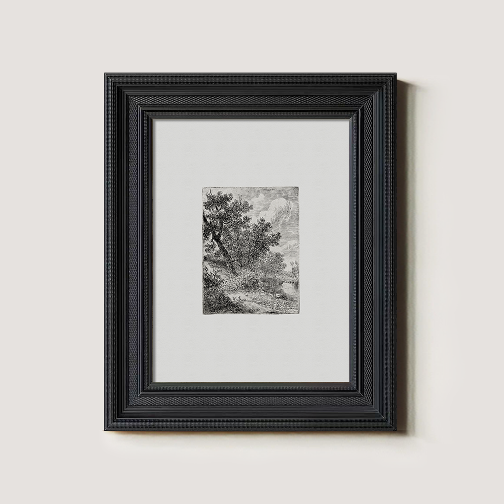 Shaded Arboreal Hollow Etching Reverie