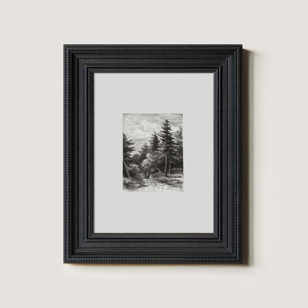 Enshrouded Pine Thicket Etching Reverie 1216-1620-1824
