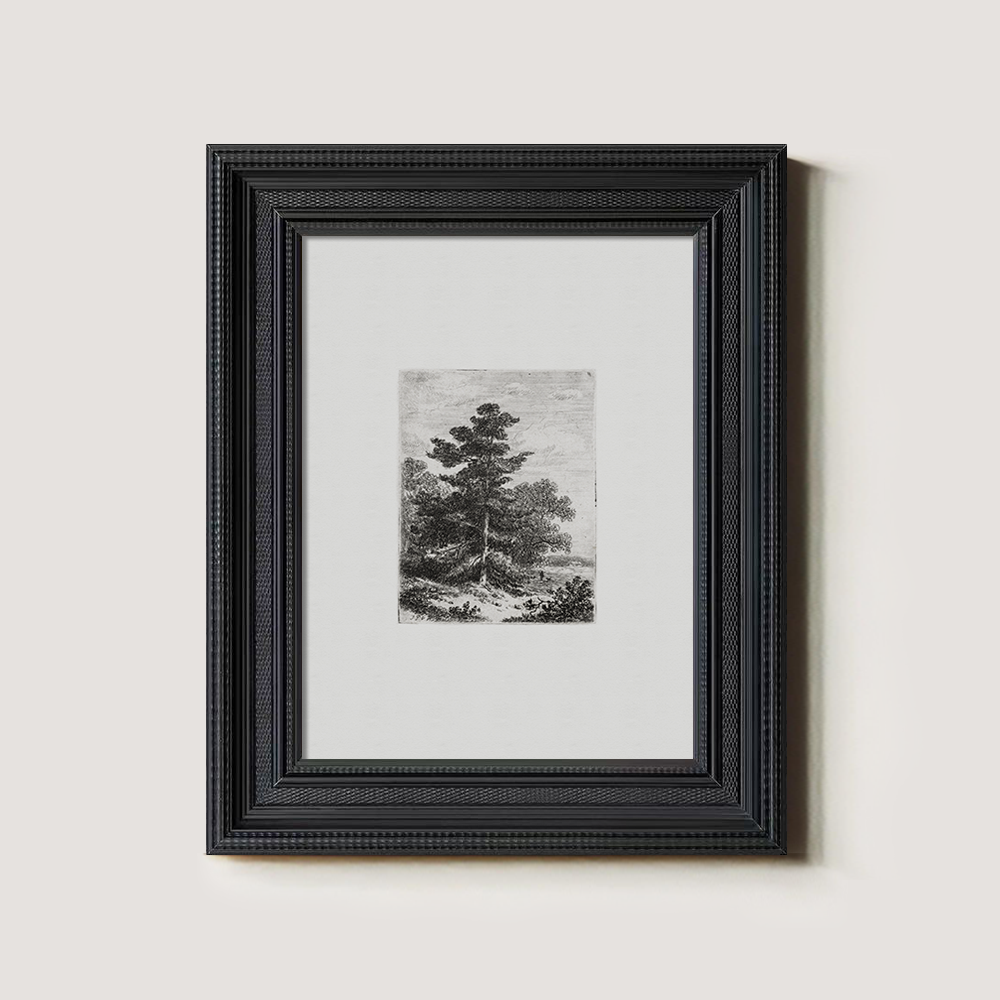 Solitary Pine Sentinel Etching Reverie