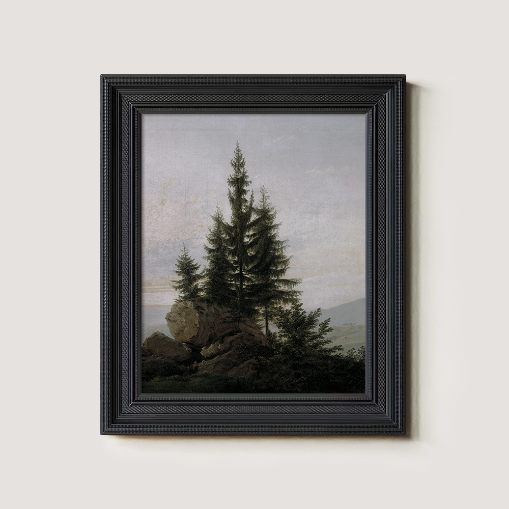 Evergreen Tree On A Rocky Shore 1216-1620-1824