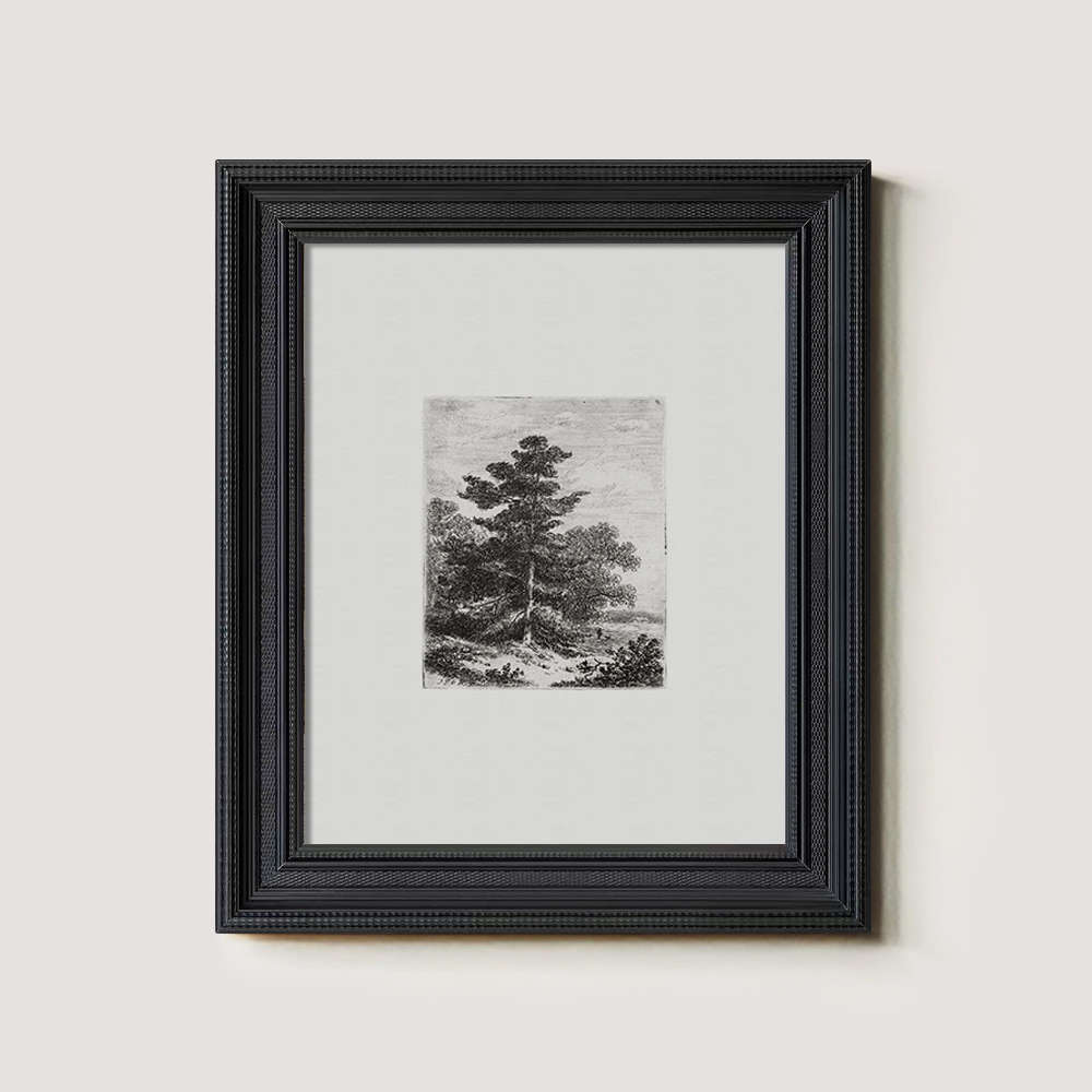 Solitary Pine Sentinel Etching Reverie