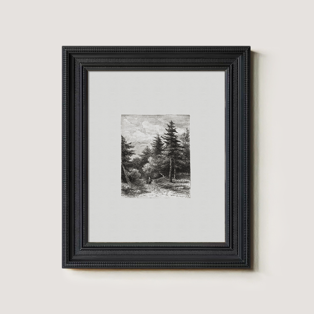 Enshrouded Pine Thicket Etching Reverie 1216-1620-1824