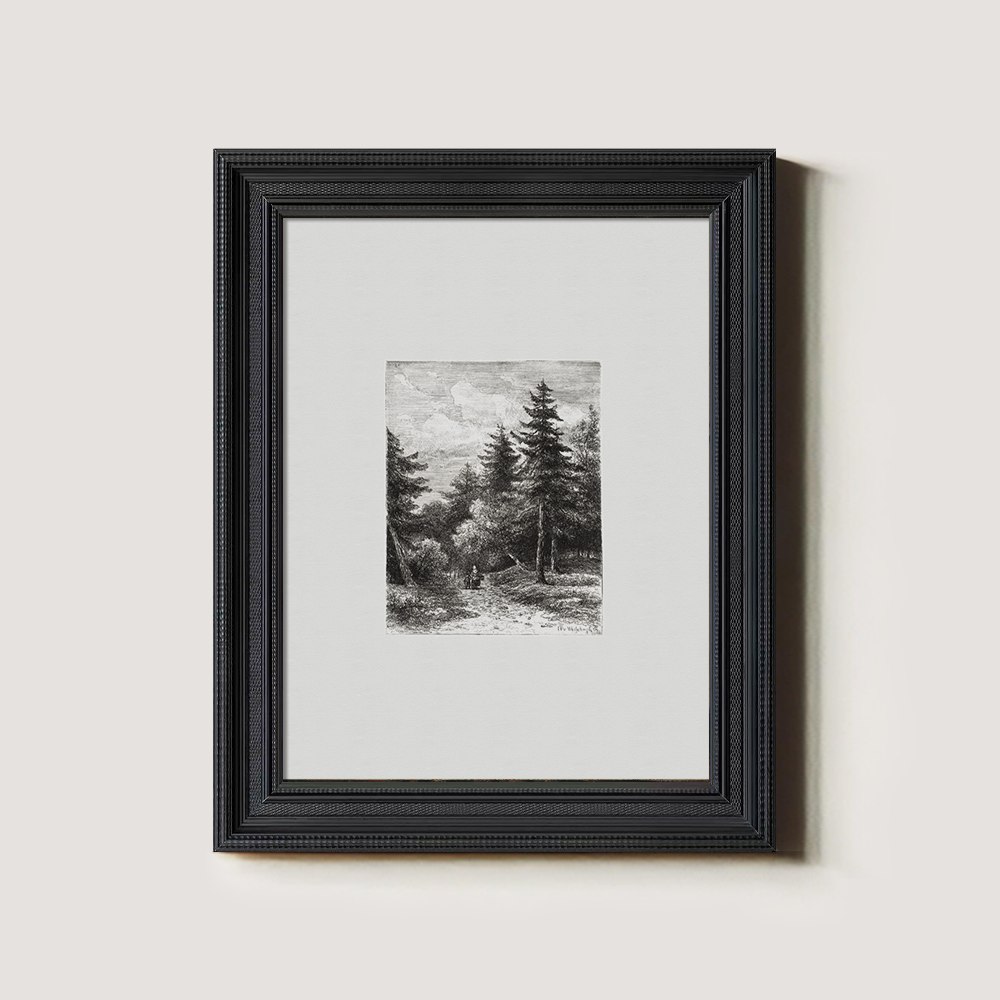 Enshrouded Pine Thicket Etching Reverie 1216-1620-1824