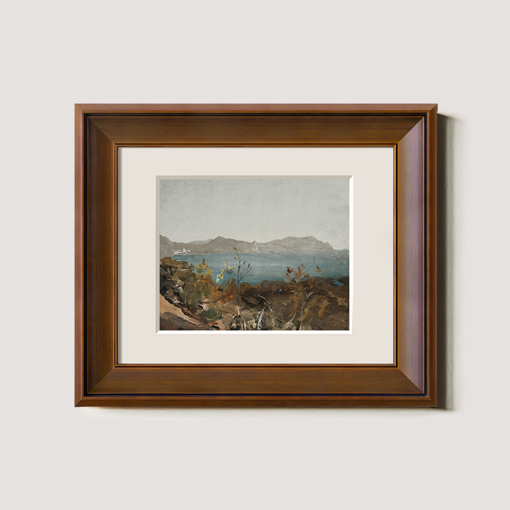 Coastal View with Distant Mountains