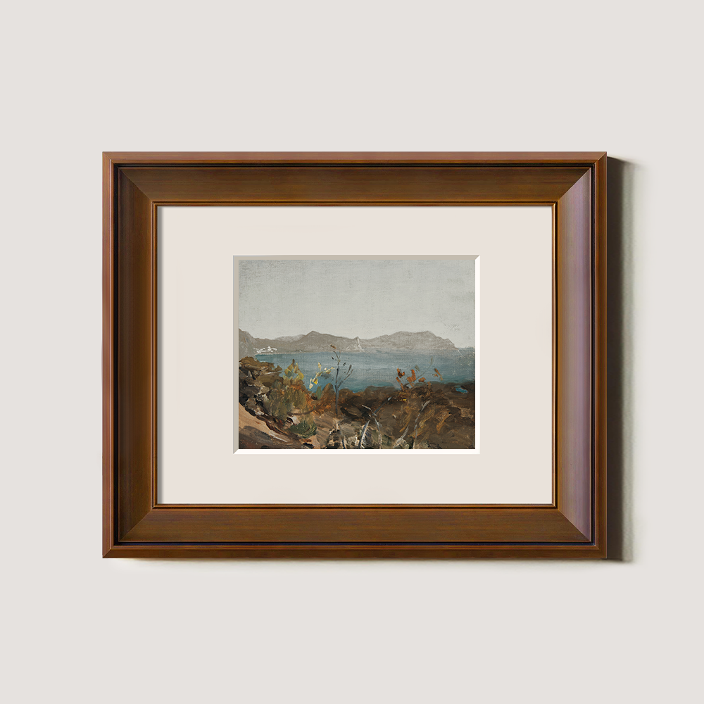Coastal View with Distant Mountains