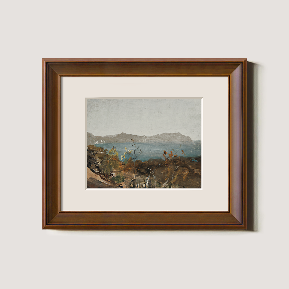 Coastal View with Distant Mountains