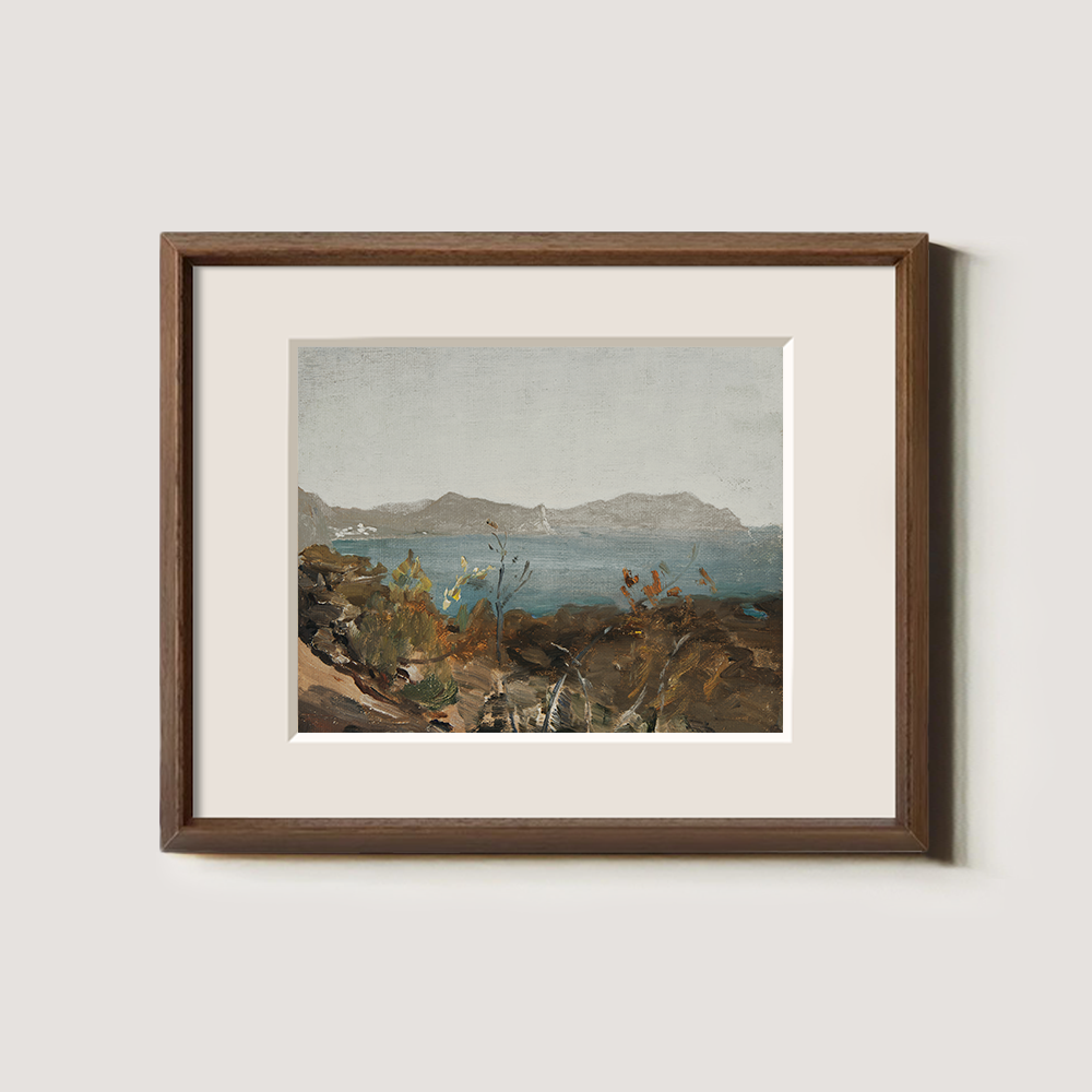 Coastal View with Distant Mountains