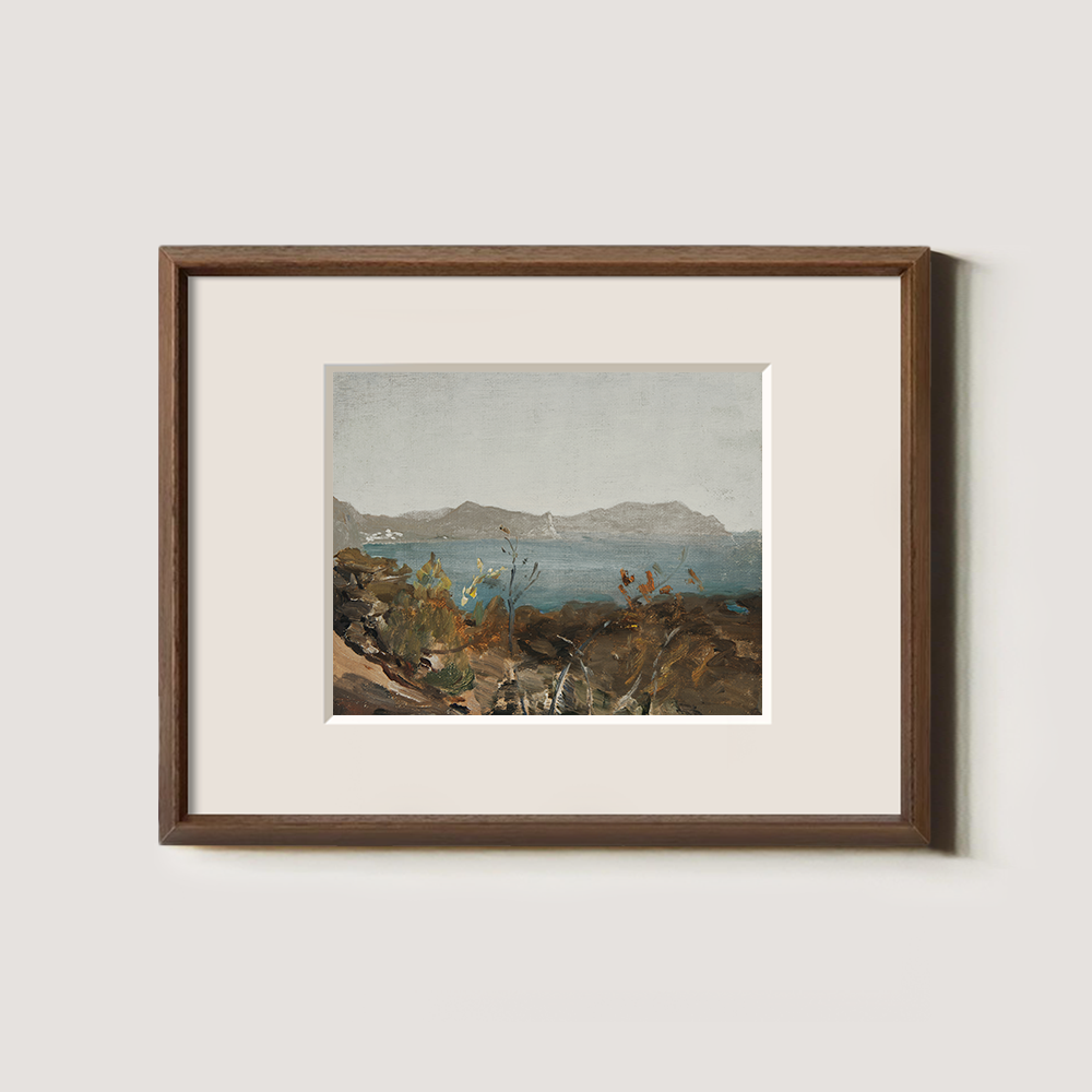 Coastal View with Distant Mountains