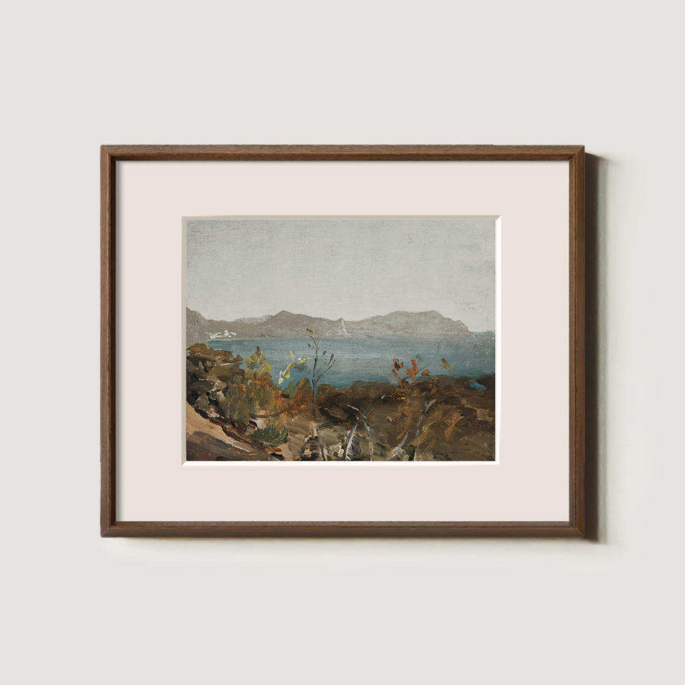 Coastal View with Distant Mountains