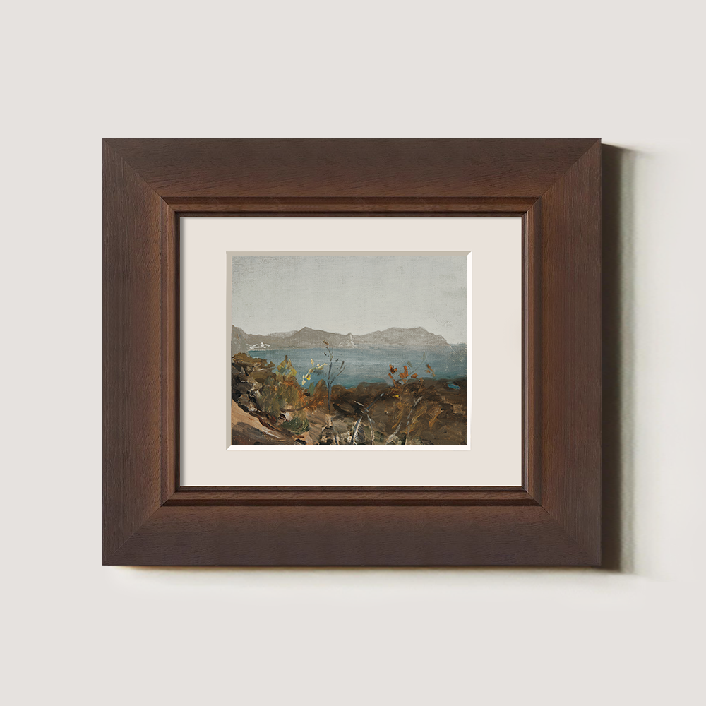 Coastal View with Distant Mountains