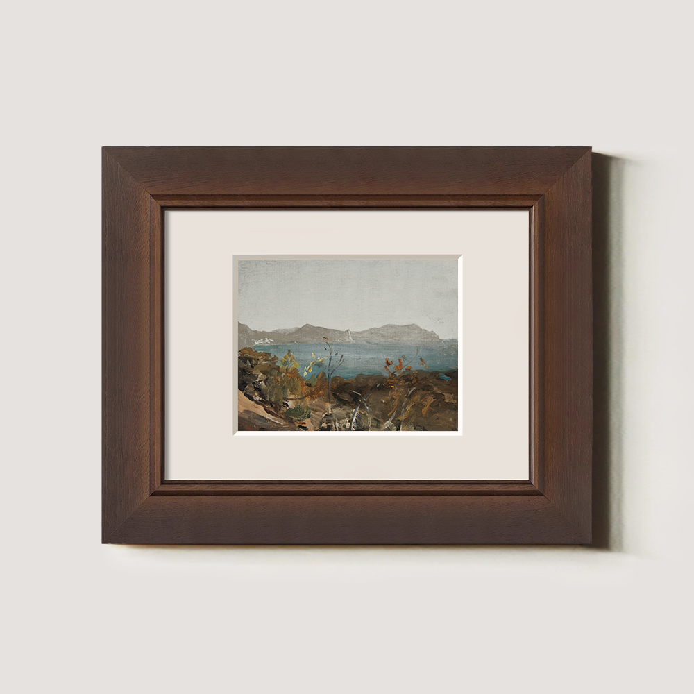 Coastal View with Distant Mountains