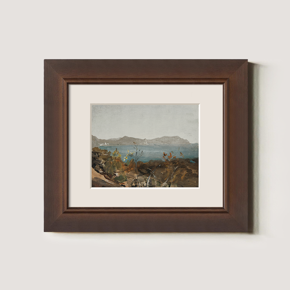 Coastal View with Distant Mountains