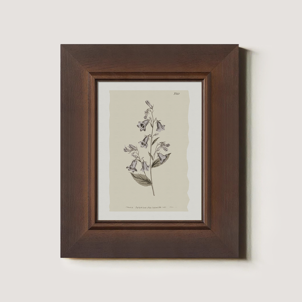 Vintage Digitalis Purpurea Botanical Etching