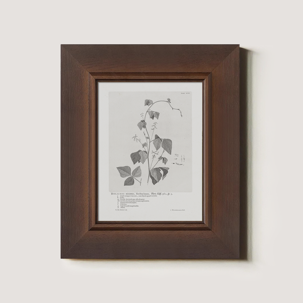 Vintage Kautia Hart Botanical Etching