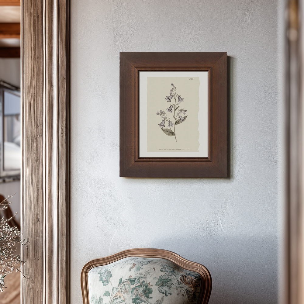 Vintage Digitalis Purpurea Botanical Etching