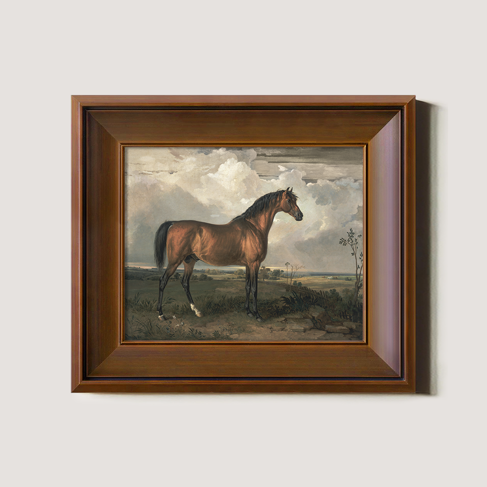 Vintage Full-Body Horse Art