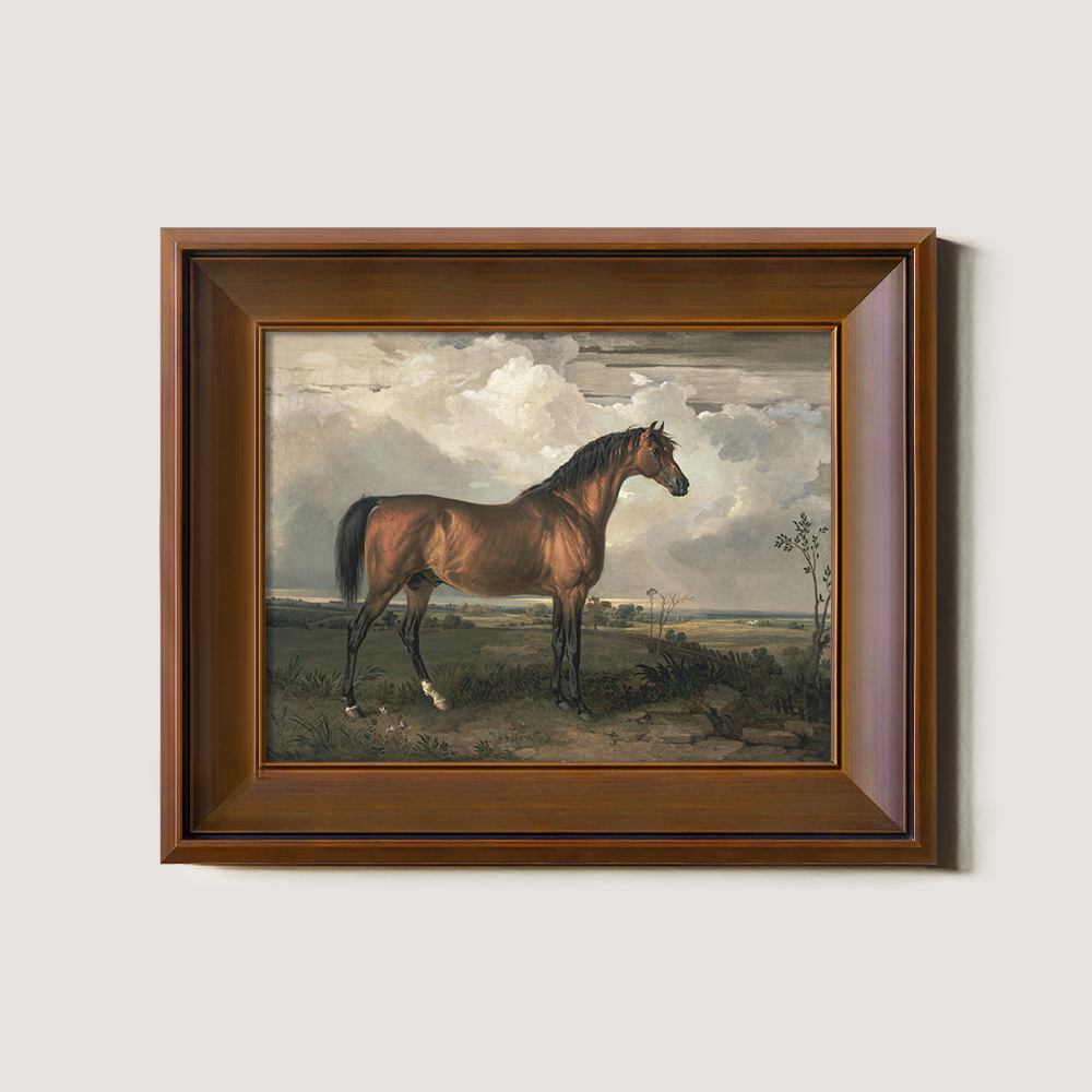 Vintage Full-Body Horse Art