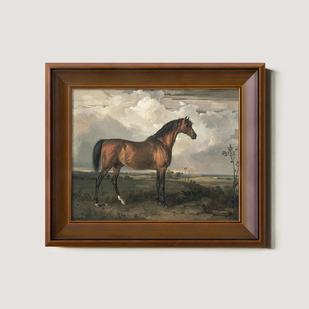 Vintage Full-Body Horse Art