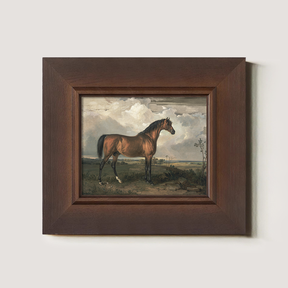 Vintage Full-Body Horse Art