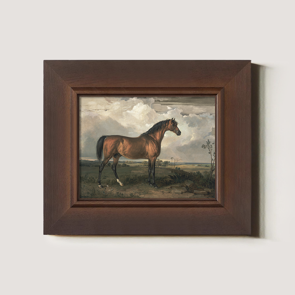 Vintage Full-Body Horse Art