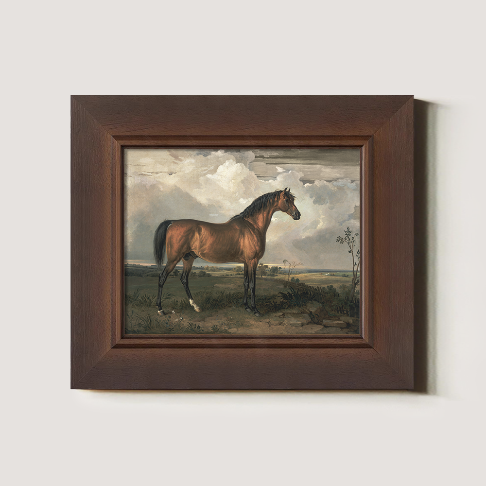 Vintage Full-Body Horse Art