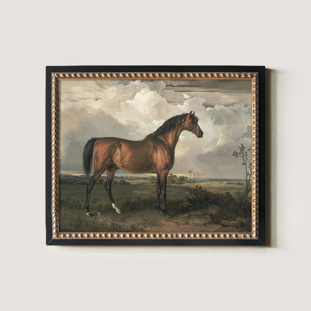 Vintage Full-Body Horse Art