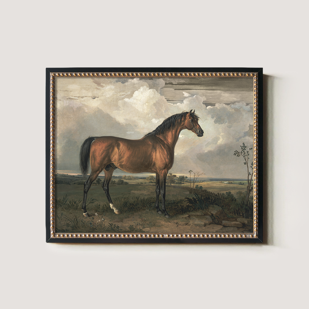 Vintage Full-Body Horse Art