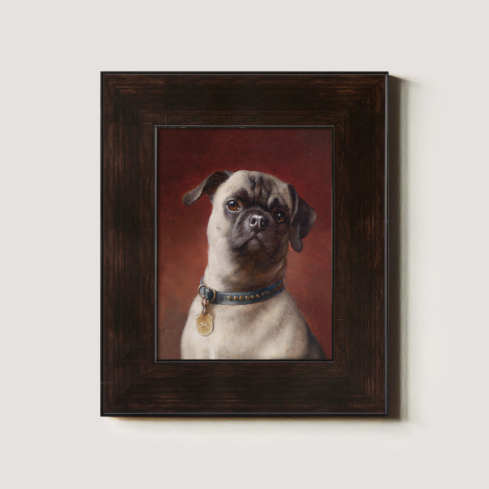 Portrait of a Pug Dog