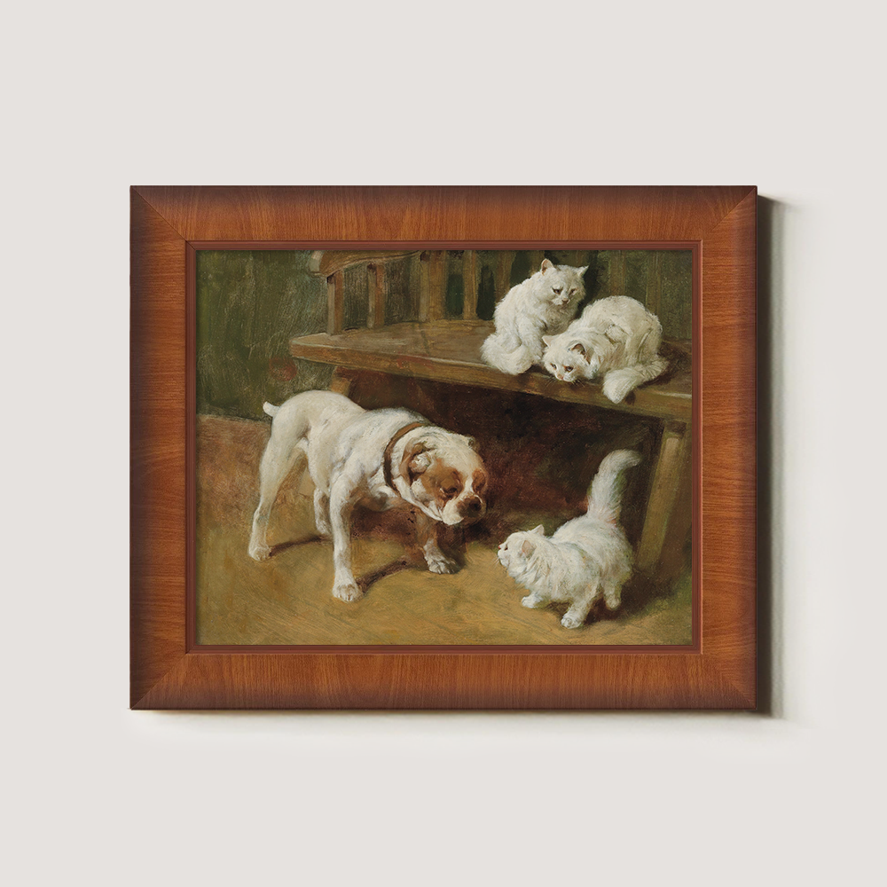 Bulldog And White Kittens Playing