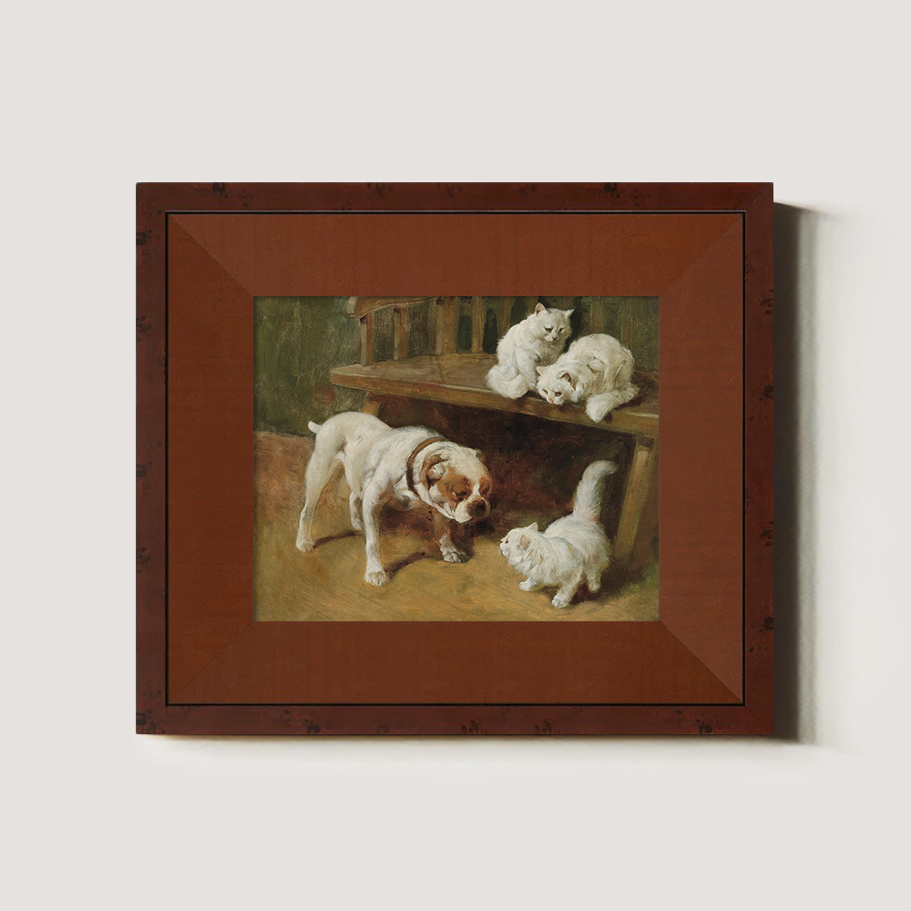Bulldog And White Kittens Playing