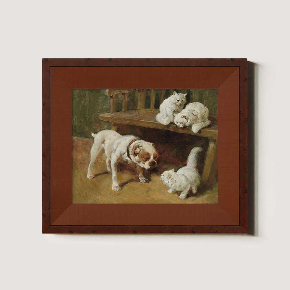 Bulldog And White Kittens Playing