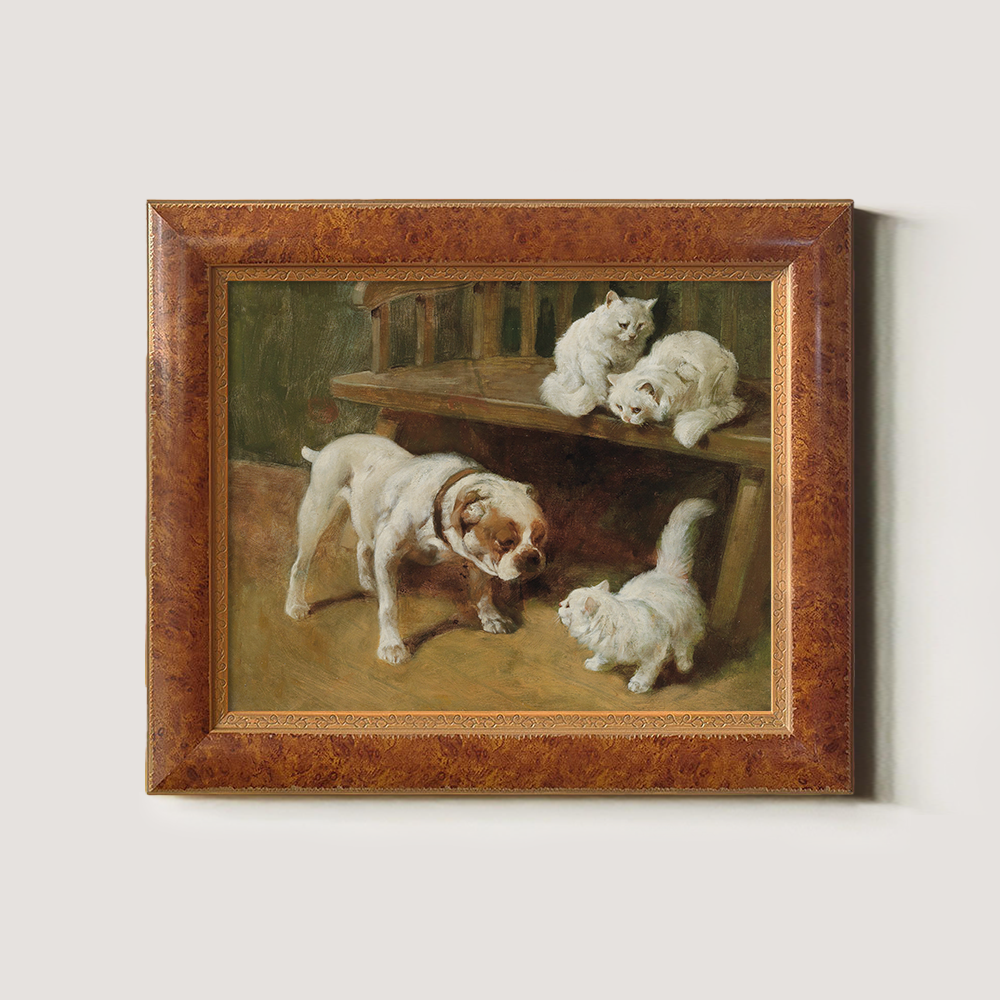 Bulldog And White Kittens Playing