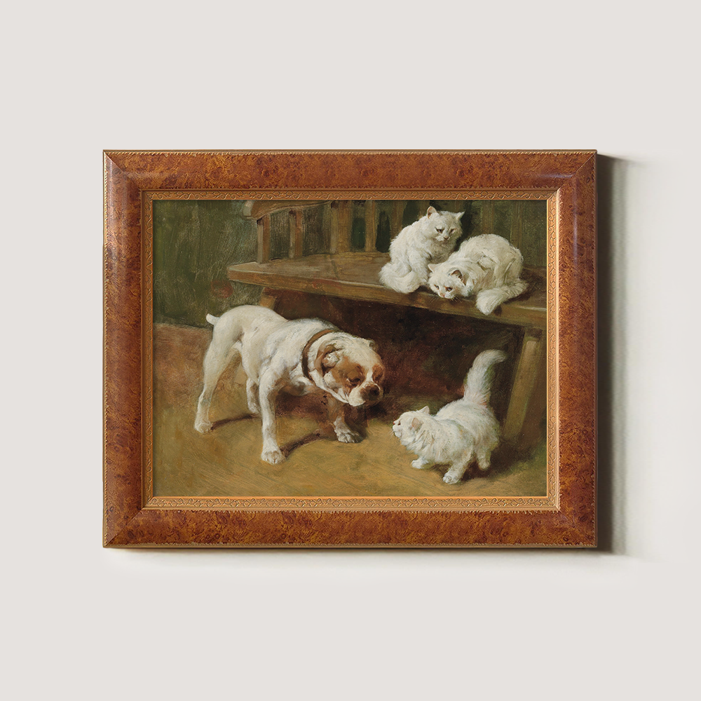 Bulldog And White Kittens Playing