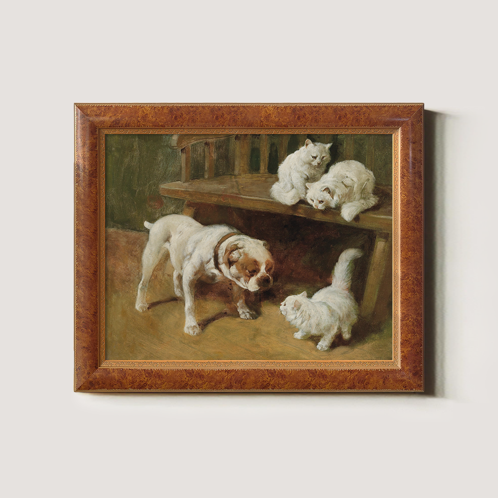 Bulldog And White Kittens Playing