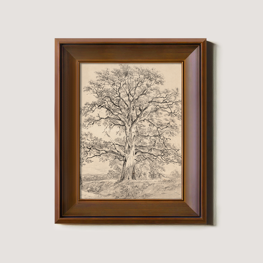 Sketch Art of an Old Tree with a Winding Trunk in Beige