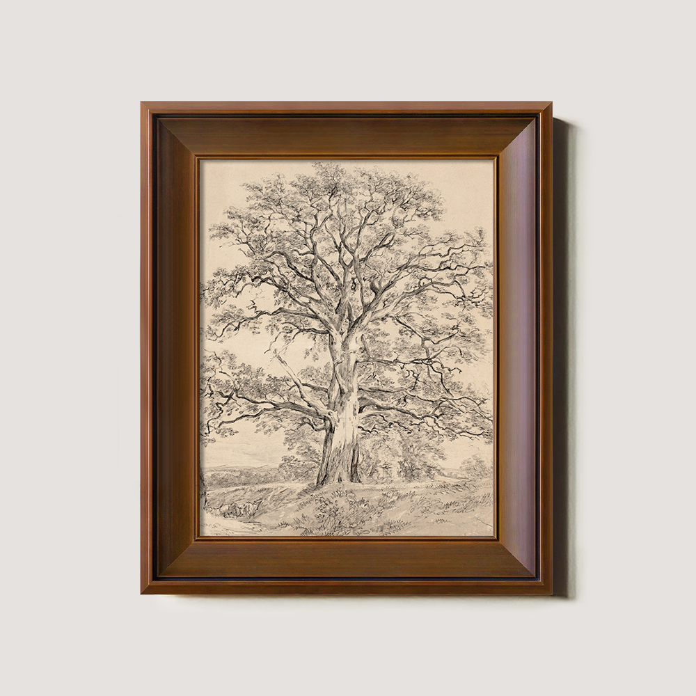 Sketch Art of an Old Tree with a Winding Trunk in Beige