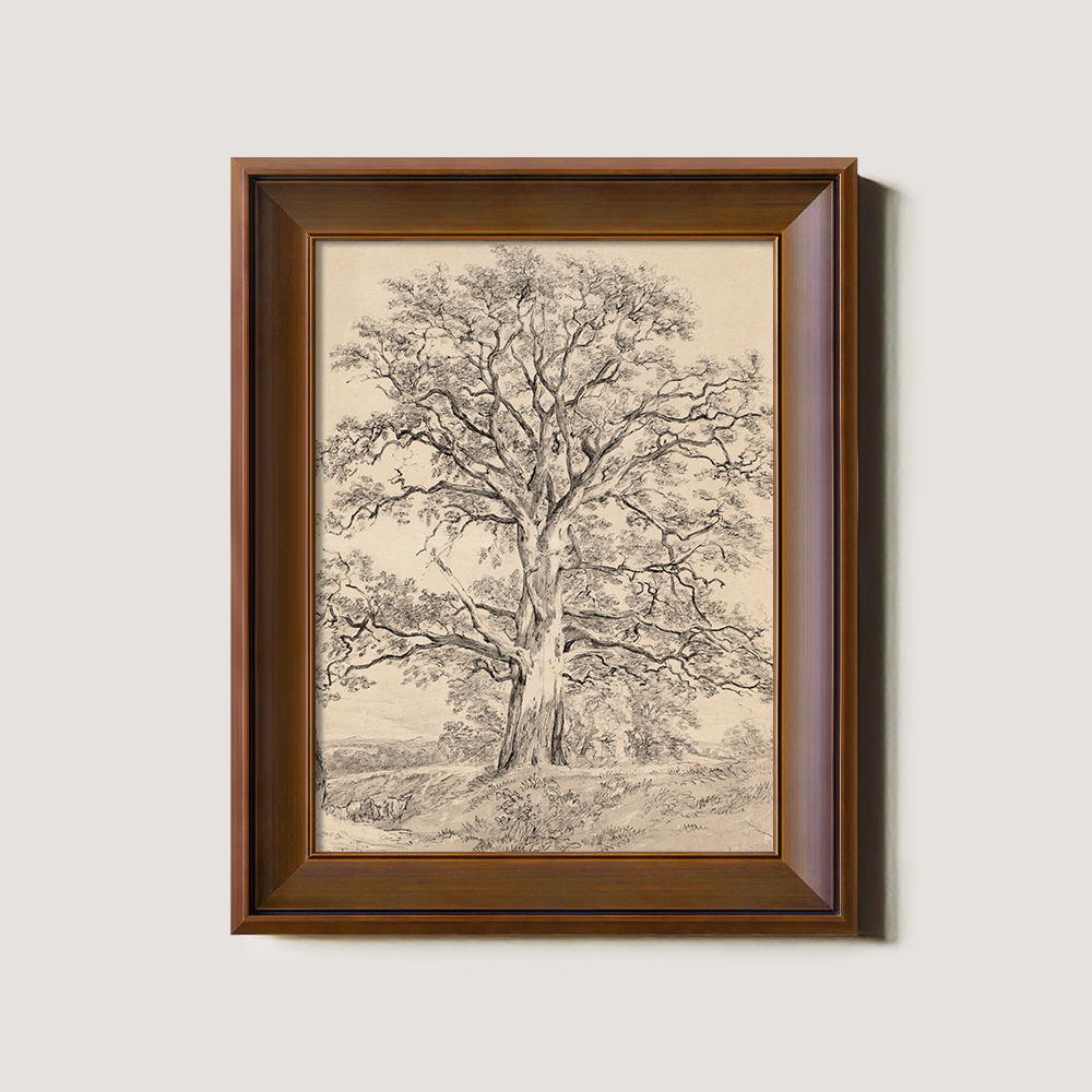 Sketch Art of an Old Tree with a Winding Trunk in Beige