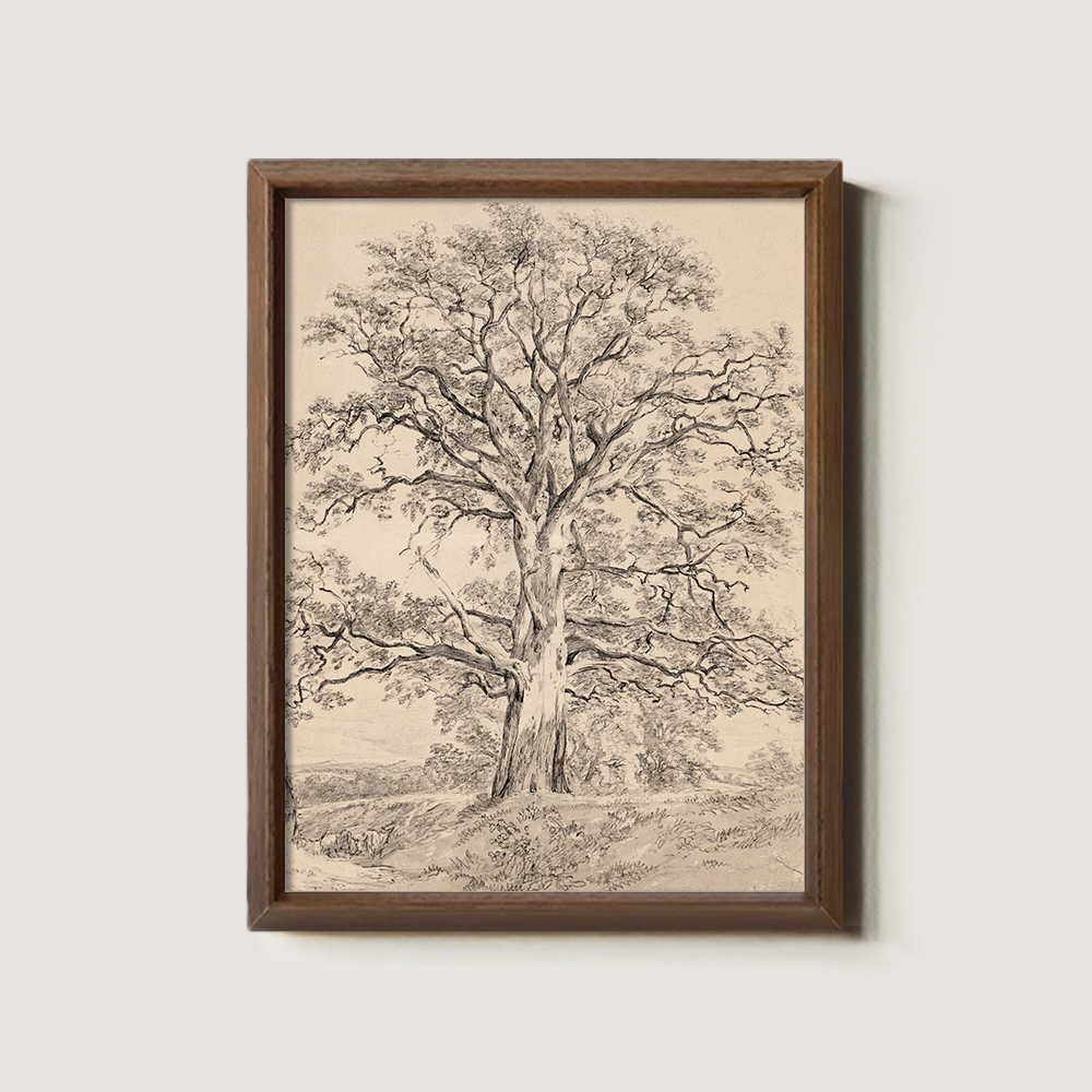 Sketch Art of an Old Tree with a Winding Trunk in Beige
