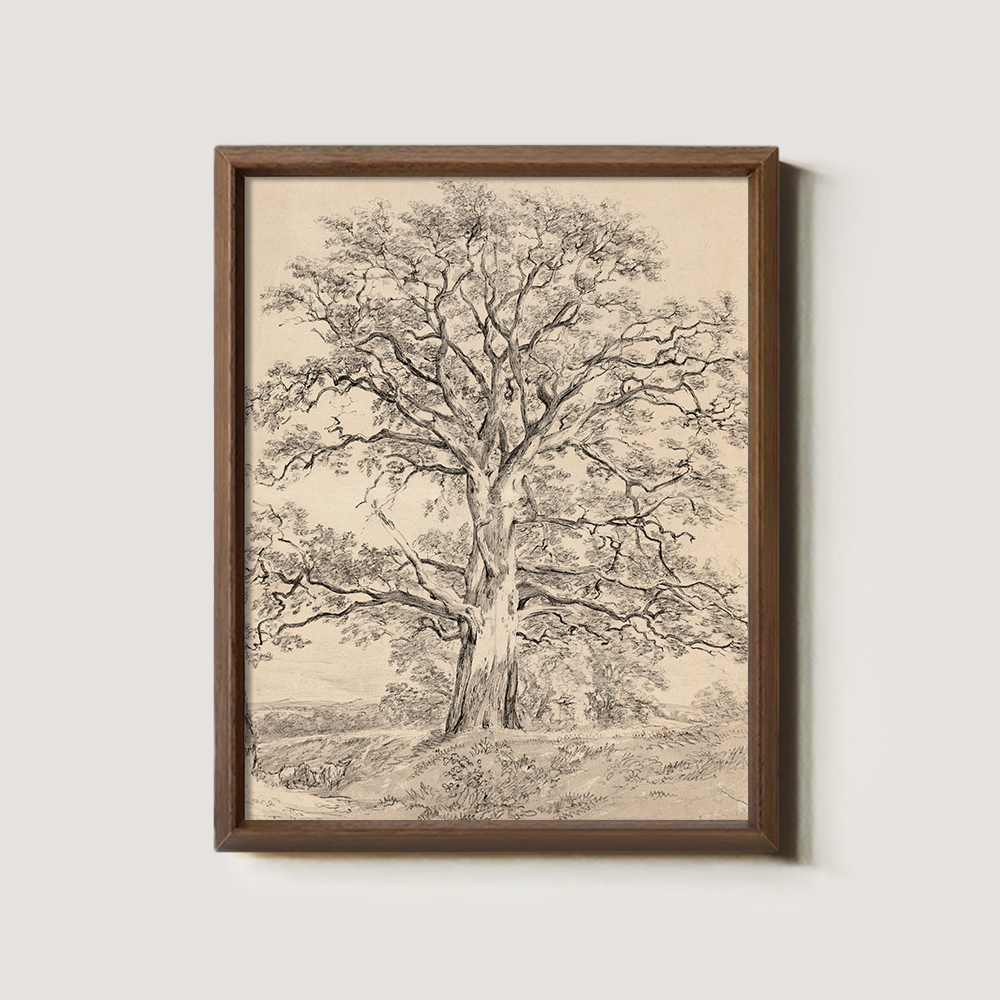 Sketch Art of an Old Tree with a Winding Trunk in Beige