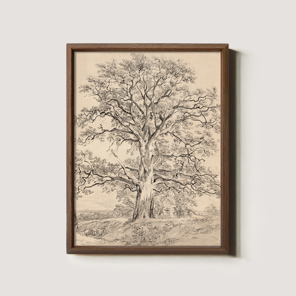 Sketch Art of an Old Tree with a Winding Trunk in Beige