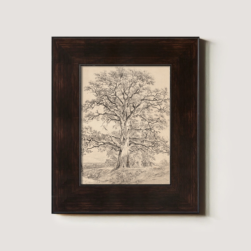 Sketch Art of an Old Tree with a Winding Trunk in Beige