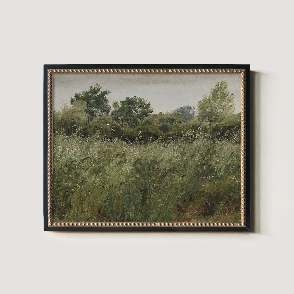 Hazy Meadow with Swaying Grasses and Graceful Trees