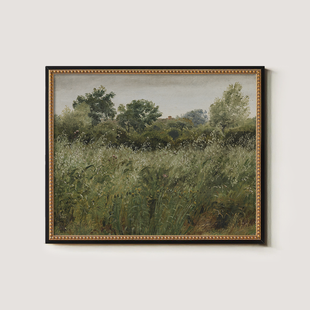 Hazy Meadow with Swaying Grasses and Graceful Trees