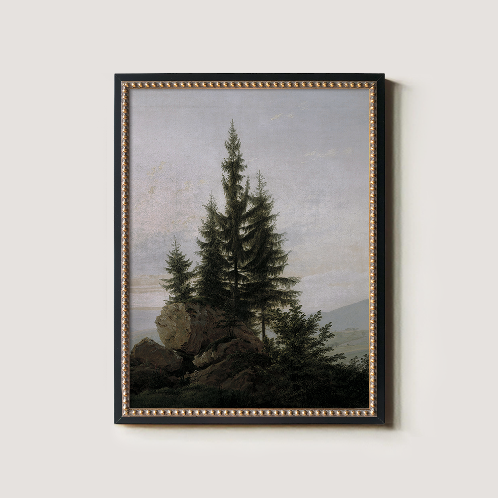 Evergreen Tree On A Rocky Shore 1216-1620-1824