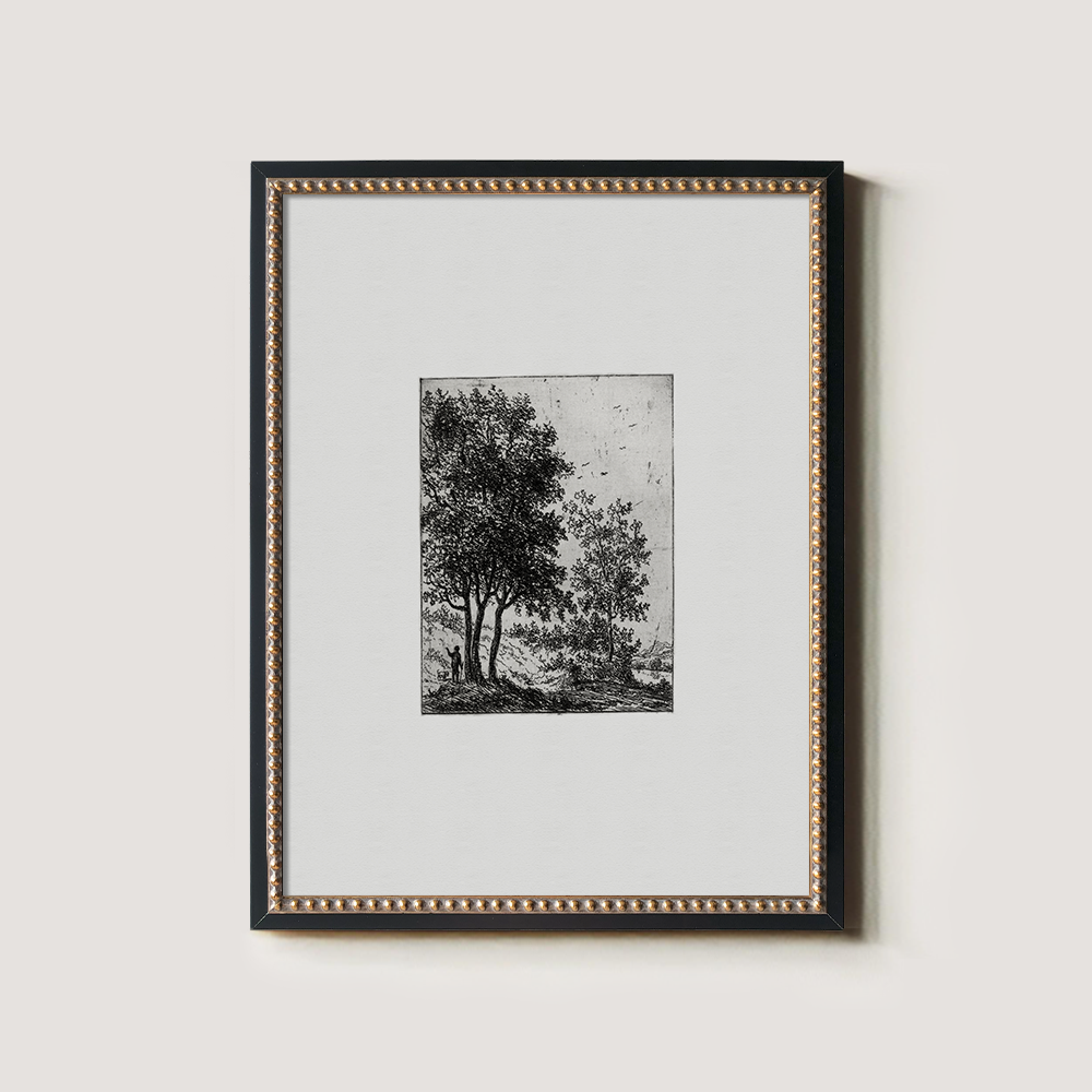 Verdant Tree Cluster Etching Reverie