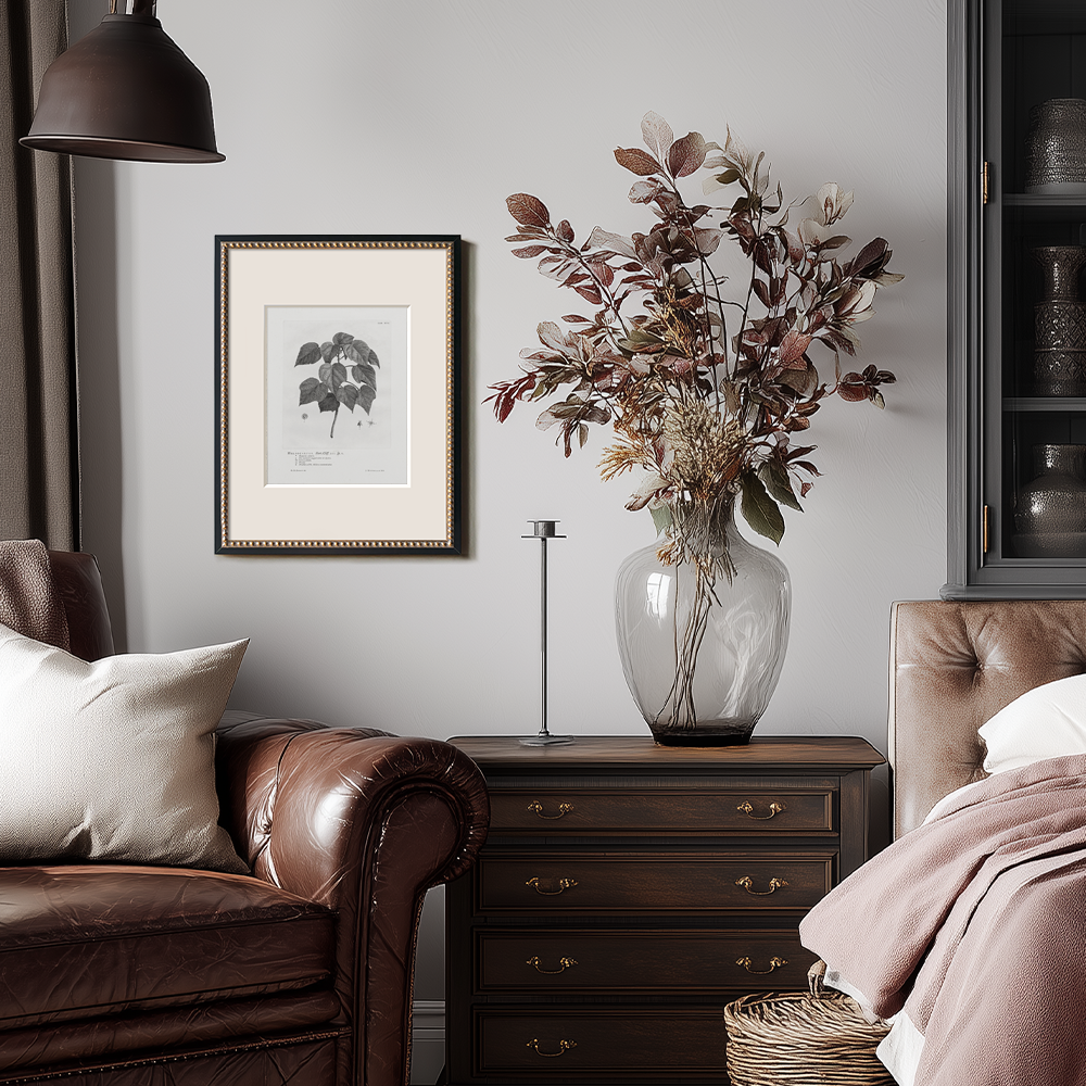 Vintage Helianthus Tuberosus Botanical Etching