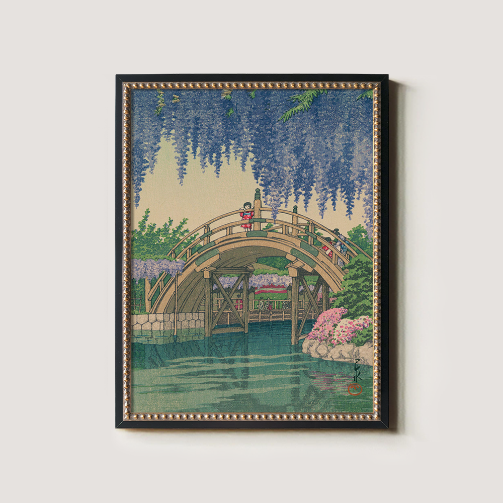 Wisteria Blossoms over Curved Drum Bridge